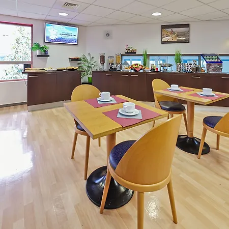 渣油里昂酒店 3* 里昂